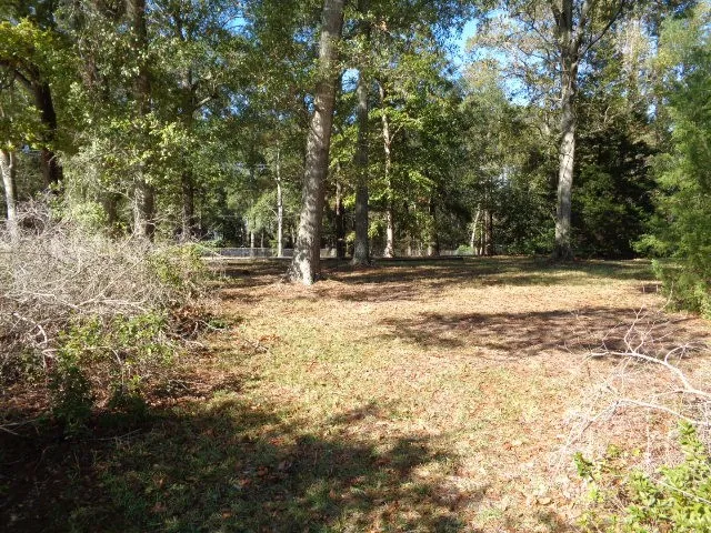 $1,195 | 7521 Old Highway 105 West, Conroe, TX 77304