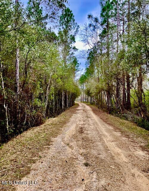 15429 Indian Fork Road Vancleave, MS 39565 - Photo 15 of 63 Road Through Property