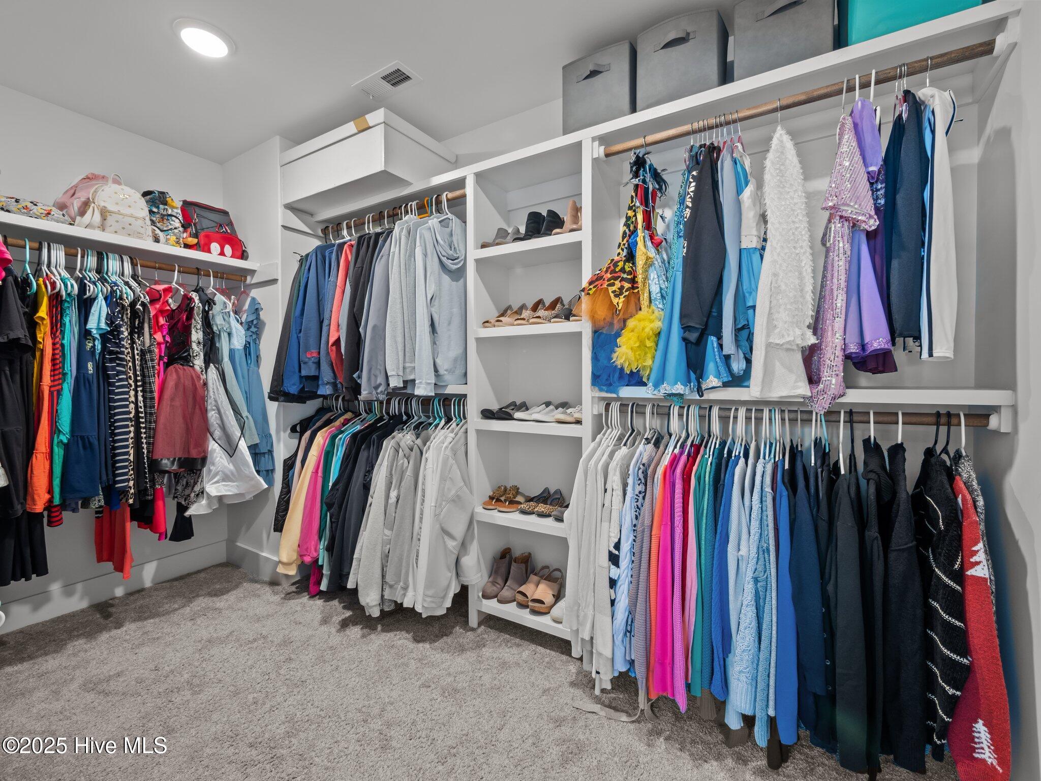 208 Coastline Circle Cedar Point, NC 28584 - Photo 39 of 66 Principal walk in closet with custom wood shelving