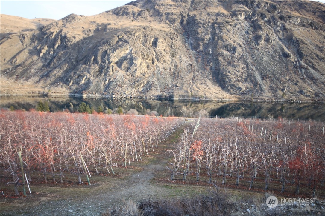 0 Us 97 Chelan, WA 98816 - Photo 9 of 16 Gallery Image 9