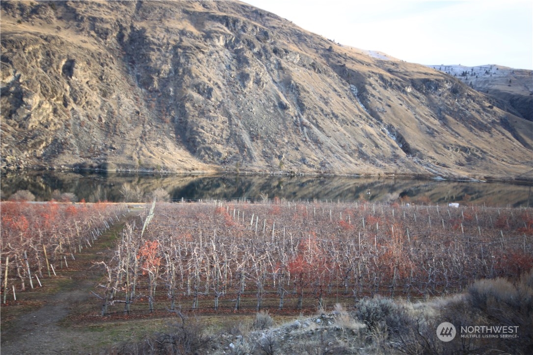 0 Us 97 Chelan, WA 98816 - Photo 10 of 16 Gallery Image 10