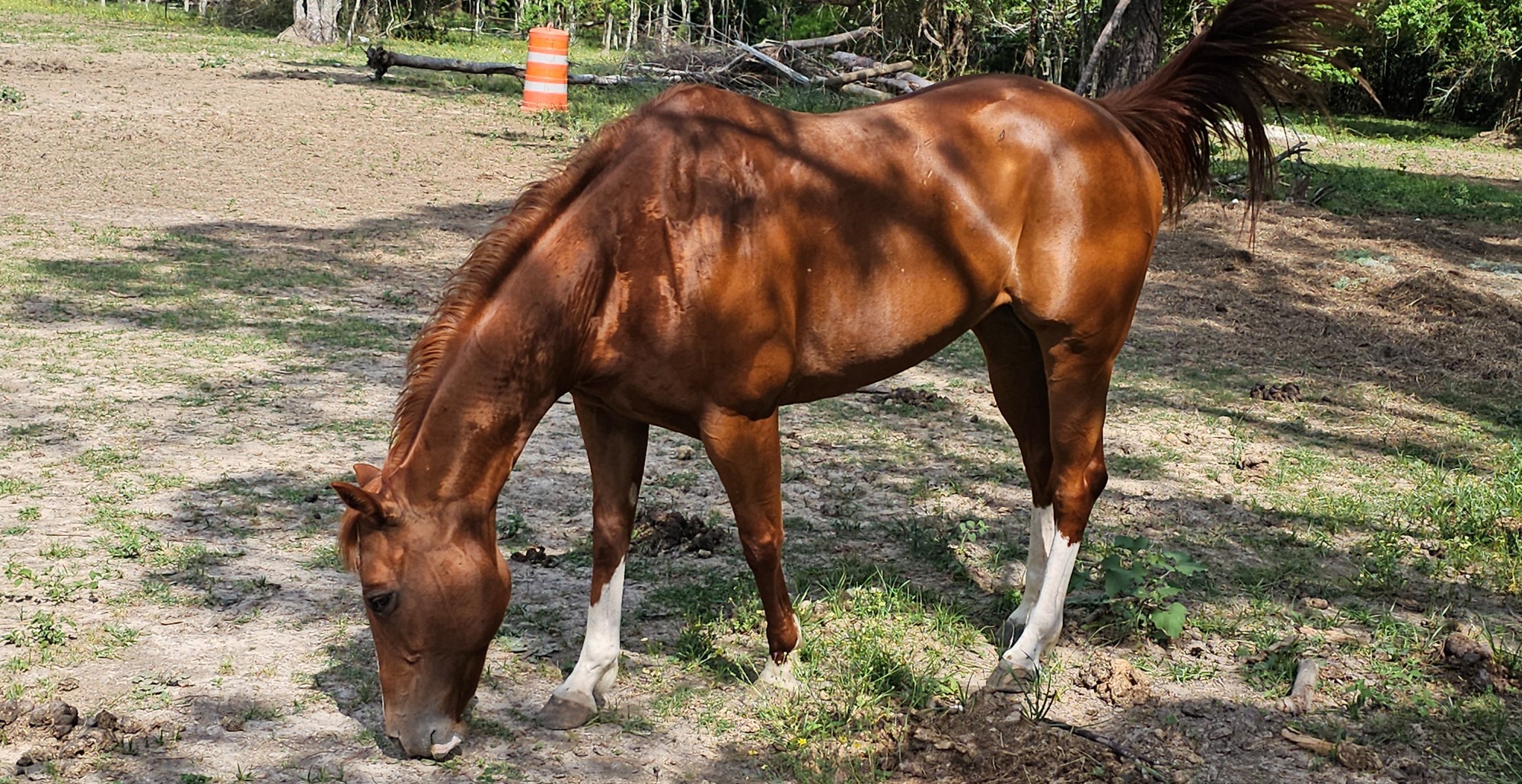 435 Indian Shores Road Crosby, TX 77532 - Photo 12 of 13