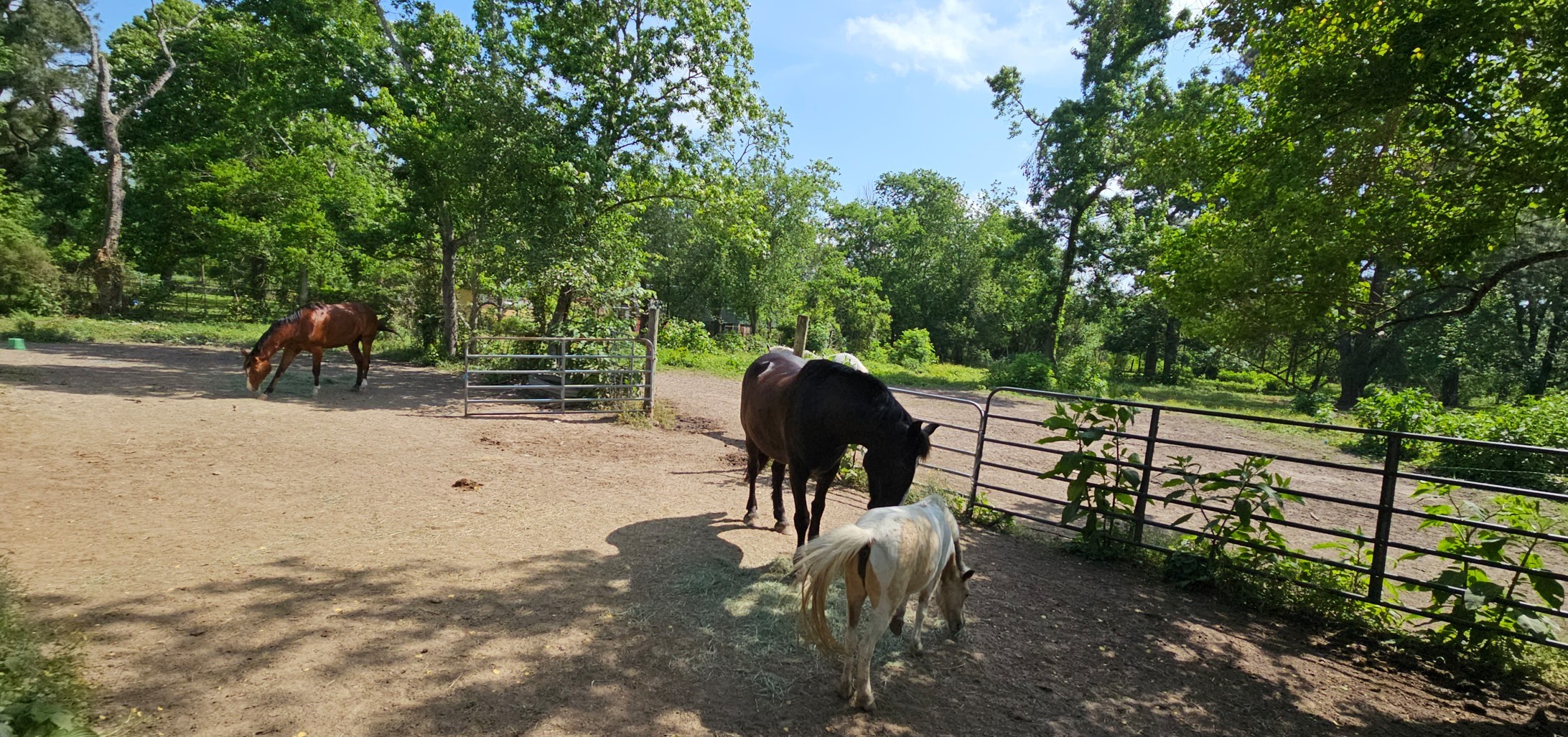 435 Indian Shores Road Crosby, TX 77532 - Photo 13 of 13