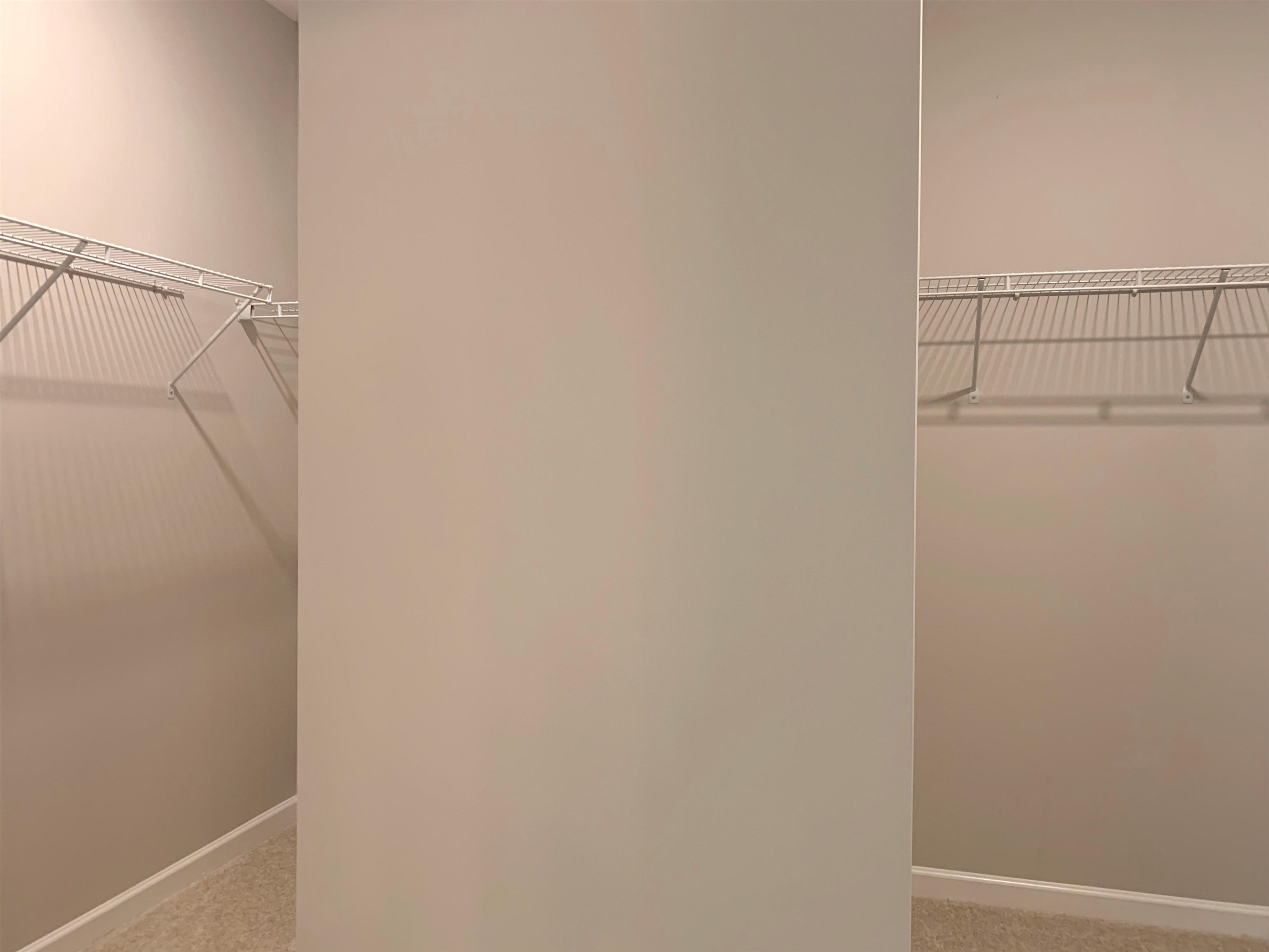 3898 Bluffwind Drive, Unit 128 Raleigh, NC 27603 - Photo 19 of 23 Primary Walk In Closet