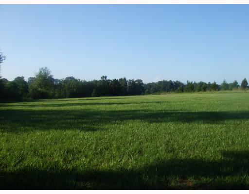 0 Williams Road Franklinton, LA 70438 - Photo 1 of 1 Gallery Image 1