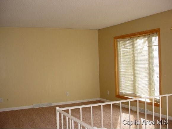 1924 Camden Street Springfield, IL 62702 - Photo 3 of 21