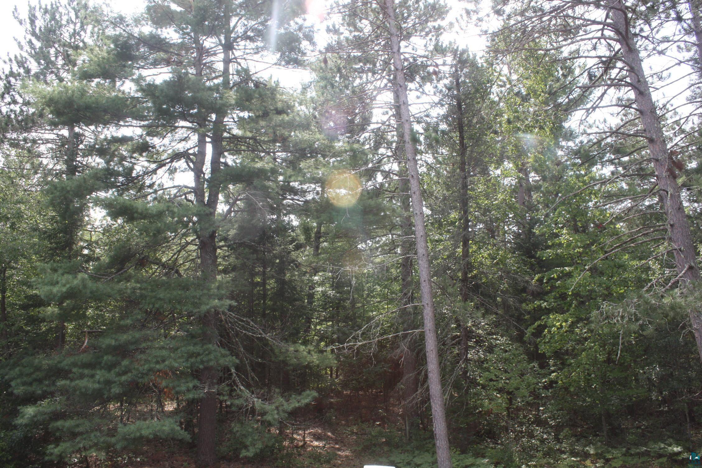 8720 East Leusman Road Solon Springs, WI 54873 - Photo 32 of 38