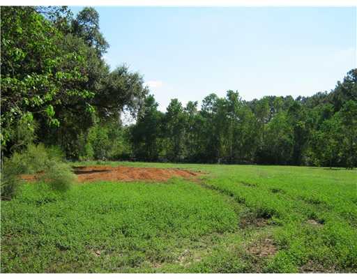 24126 Lowe Davis Road Covington, LA 70435 - Photo 10 of 11 Gallery Image 10