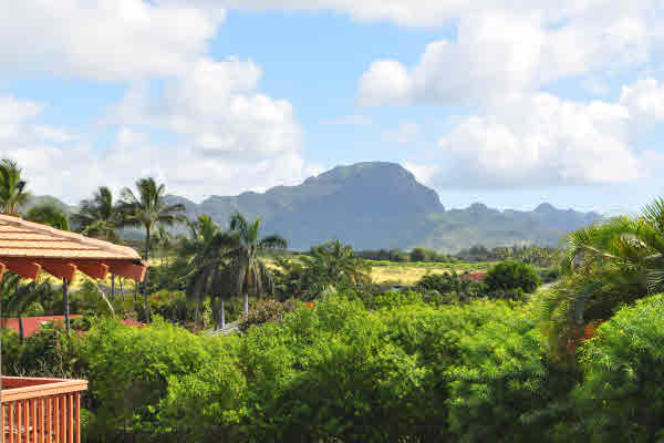 1568 Pe'e Road, Unit 3311 Koloa, HI 96756 - Photo 5 of 25 Gallery Image 5