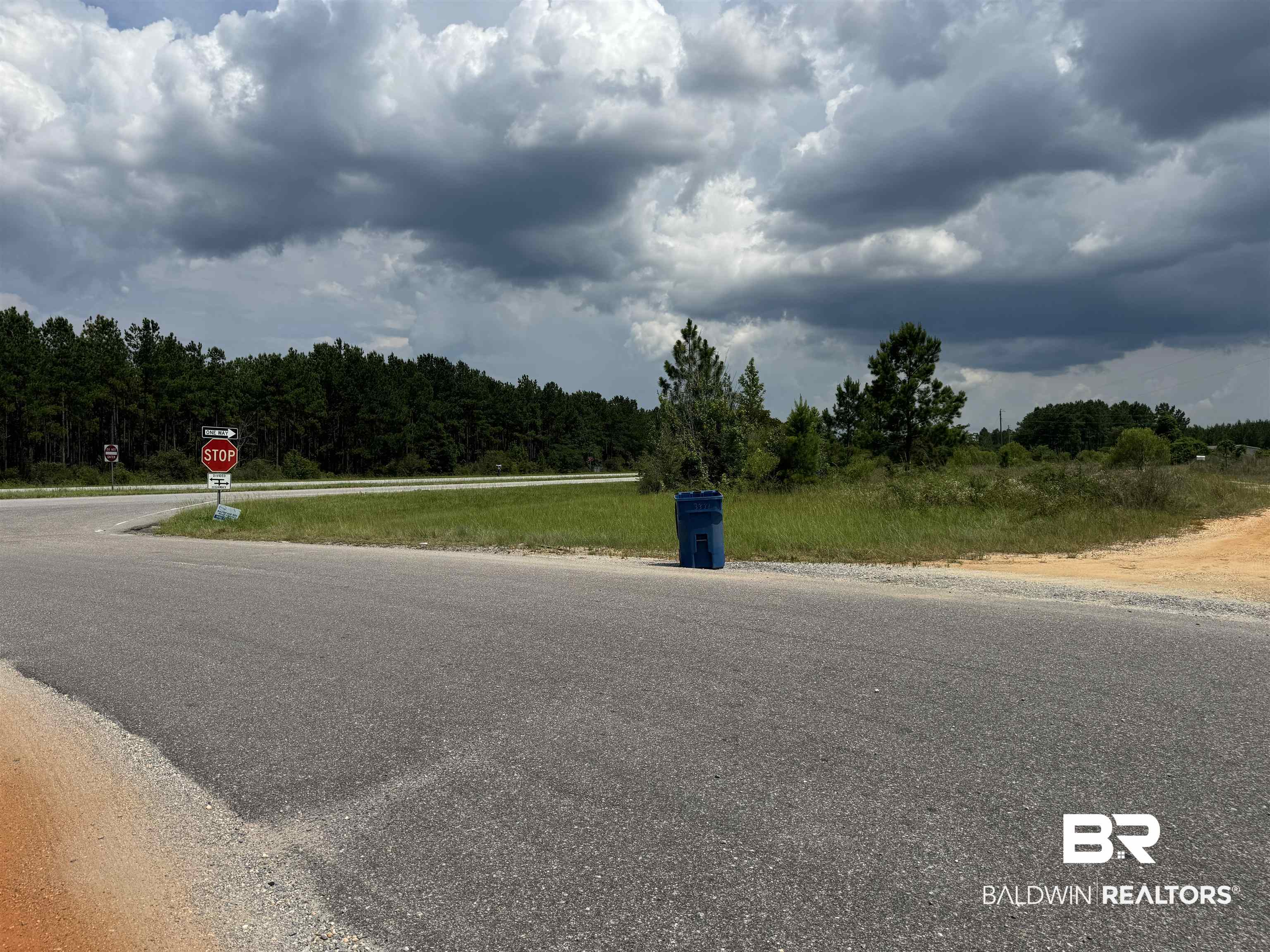 0 Highway 113 Flomaton, AL 36441 - Photo 10 of 24 View of street