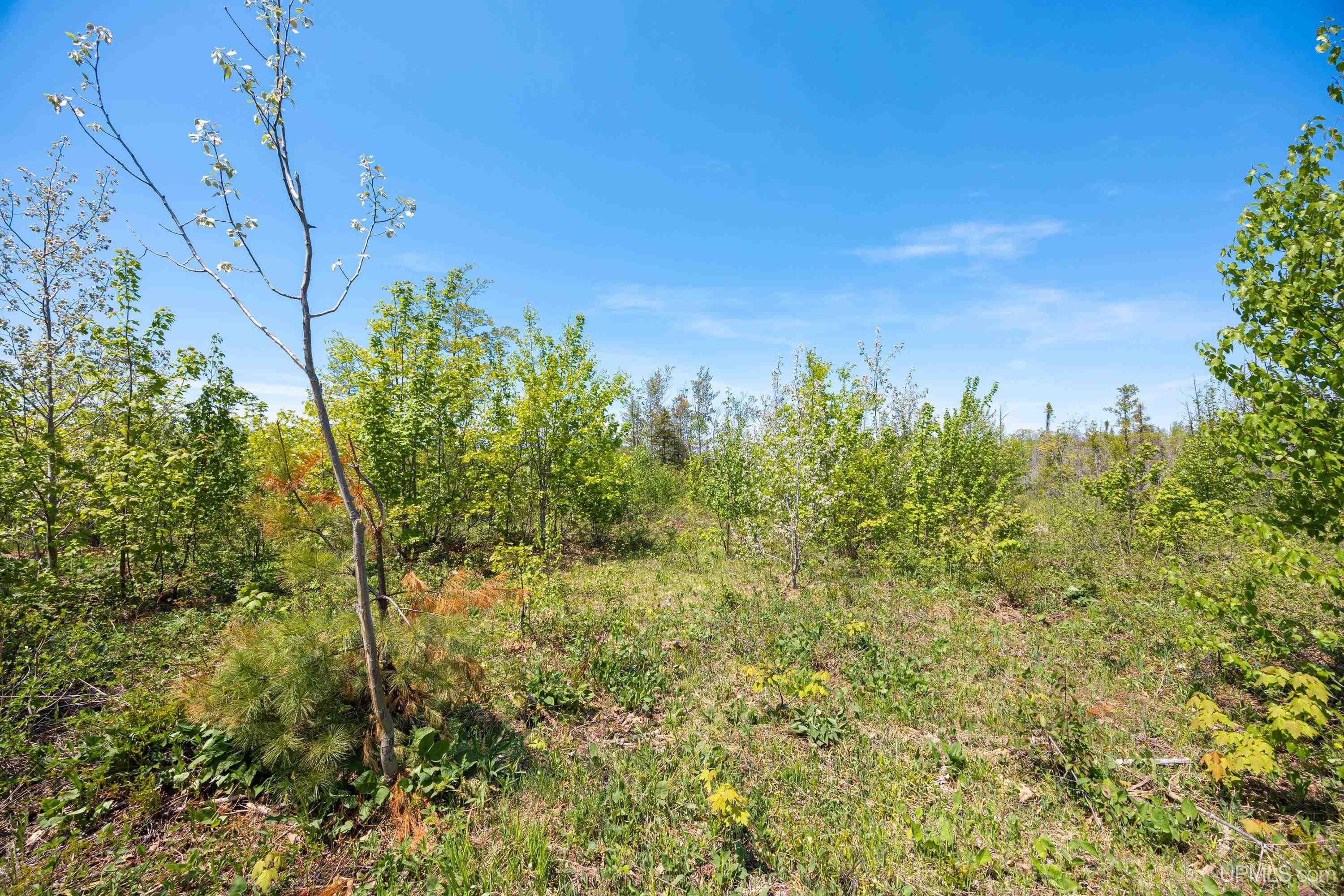 Lot 1 Airport Road, Unit CO RD 35B Calumet, MI 49913 - Photo 12 of 19
