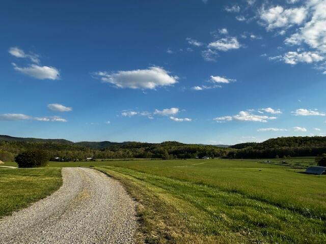 334 Day Farm Road New Castle, VA 24127 - Photo 39 of 49 driveway