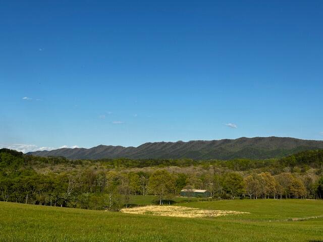 334 Day Farm Road New Castle, VA 24127 - Photo 44 of 49 IMG_6907