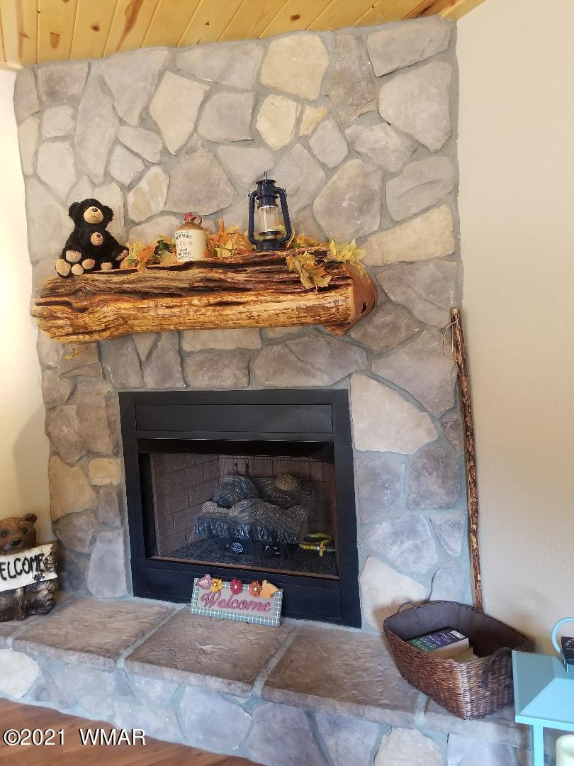 3491 Quail Run Road Overgaard, AZ 85933 - Photo 14 of 22