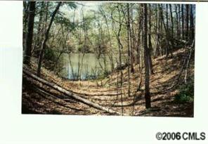 214 Riverwalk Road Stony Point, NC 28678 - Photo 4 of 8 Gallery Image 4