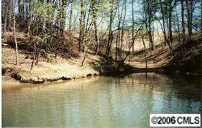 214 Riverwalk Road Stony Point, NC 28678 - Photo 5 of 8 Gallery Image 5