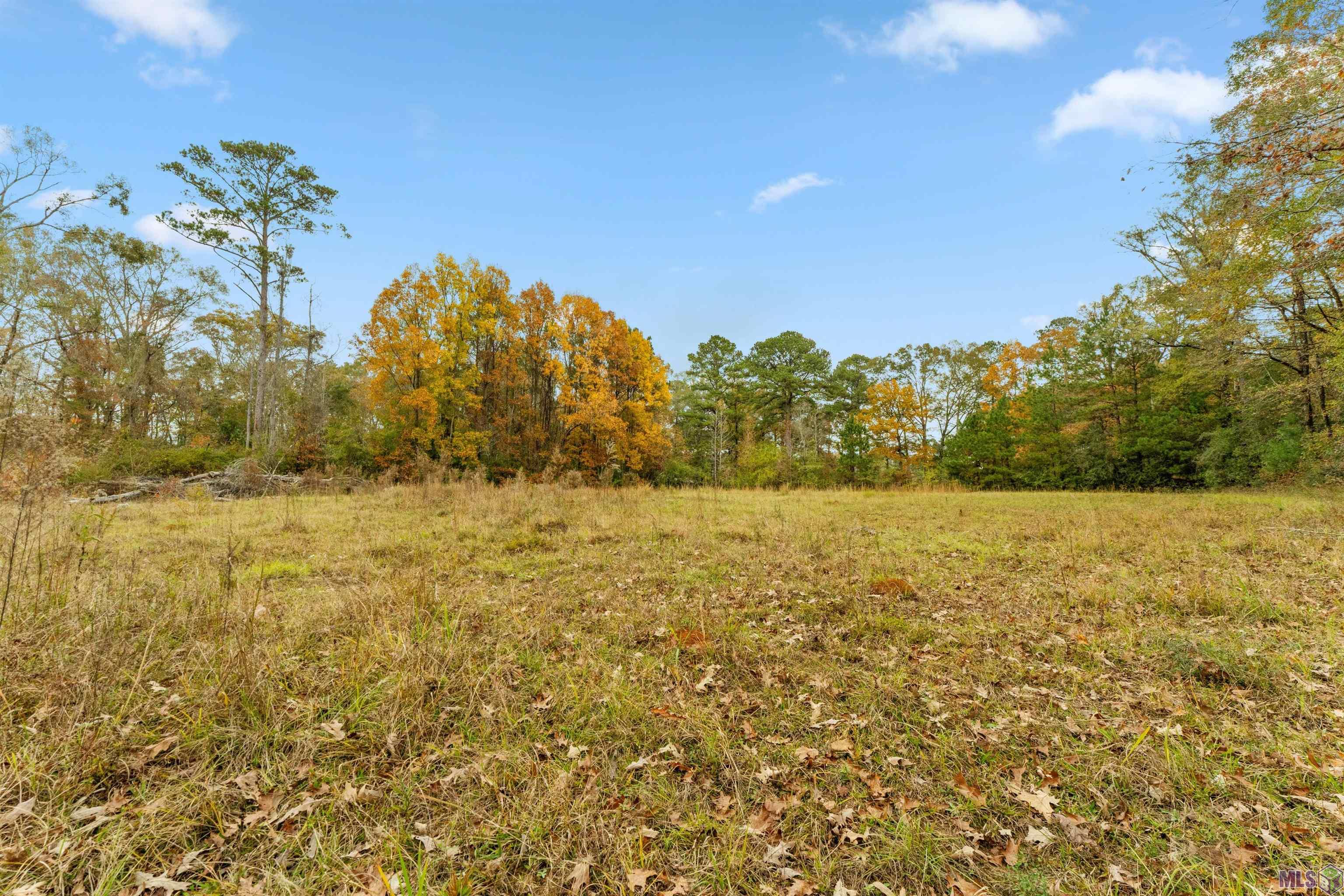 5498 Old Liberty Road North Clinton, LA 70722 - Photo 7 of 21