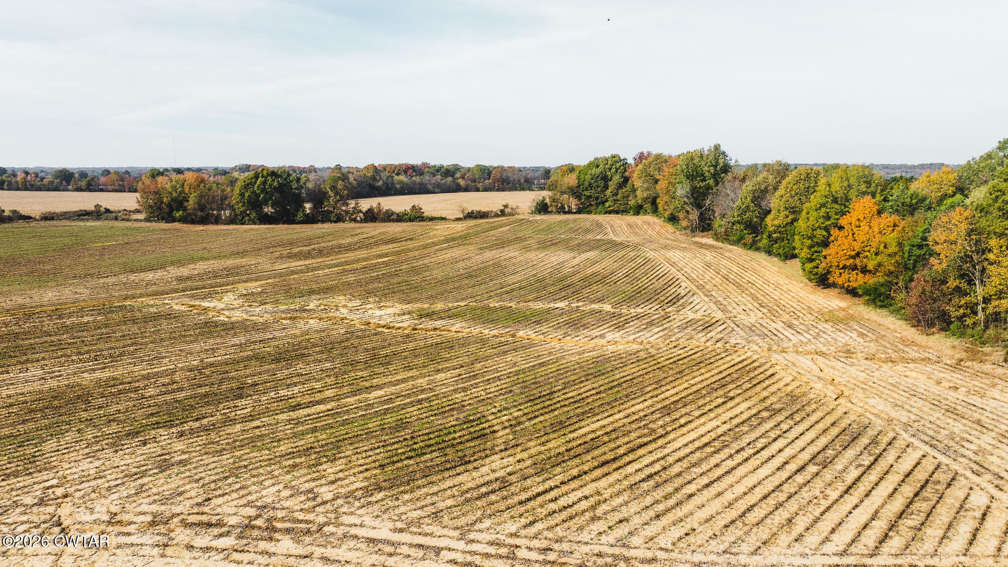 0 Kinner Road Humboldt, TN 38343 - Photo 22 of 22 a view of an ocean and beach