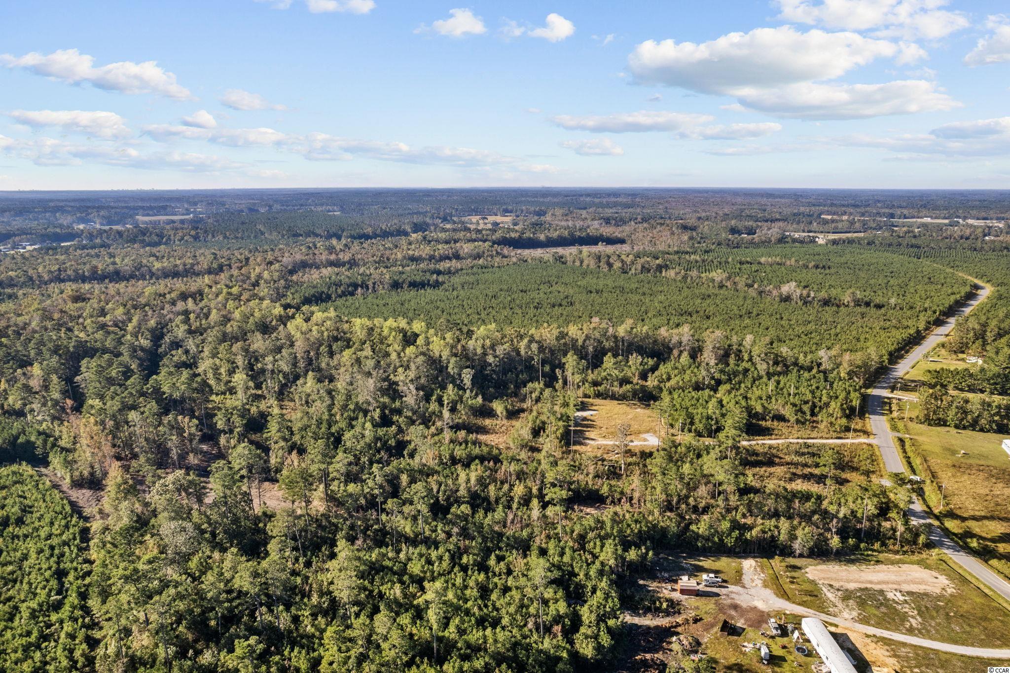 2971 Gause Road Loris, SC 29569 - Photo 6 of 19 Gallery Image 6