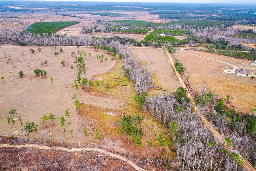 0 G G Sharpe Road Uvalda, GA 30473 - Photo 6 of 9