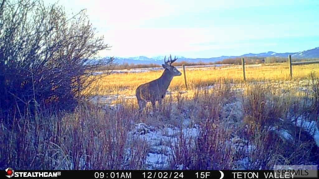 Tbd S South Bates Road Driggs, ID 83422 - Photo 27 of 28