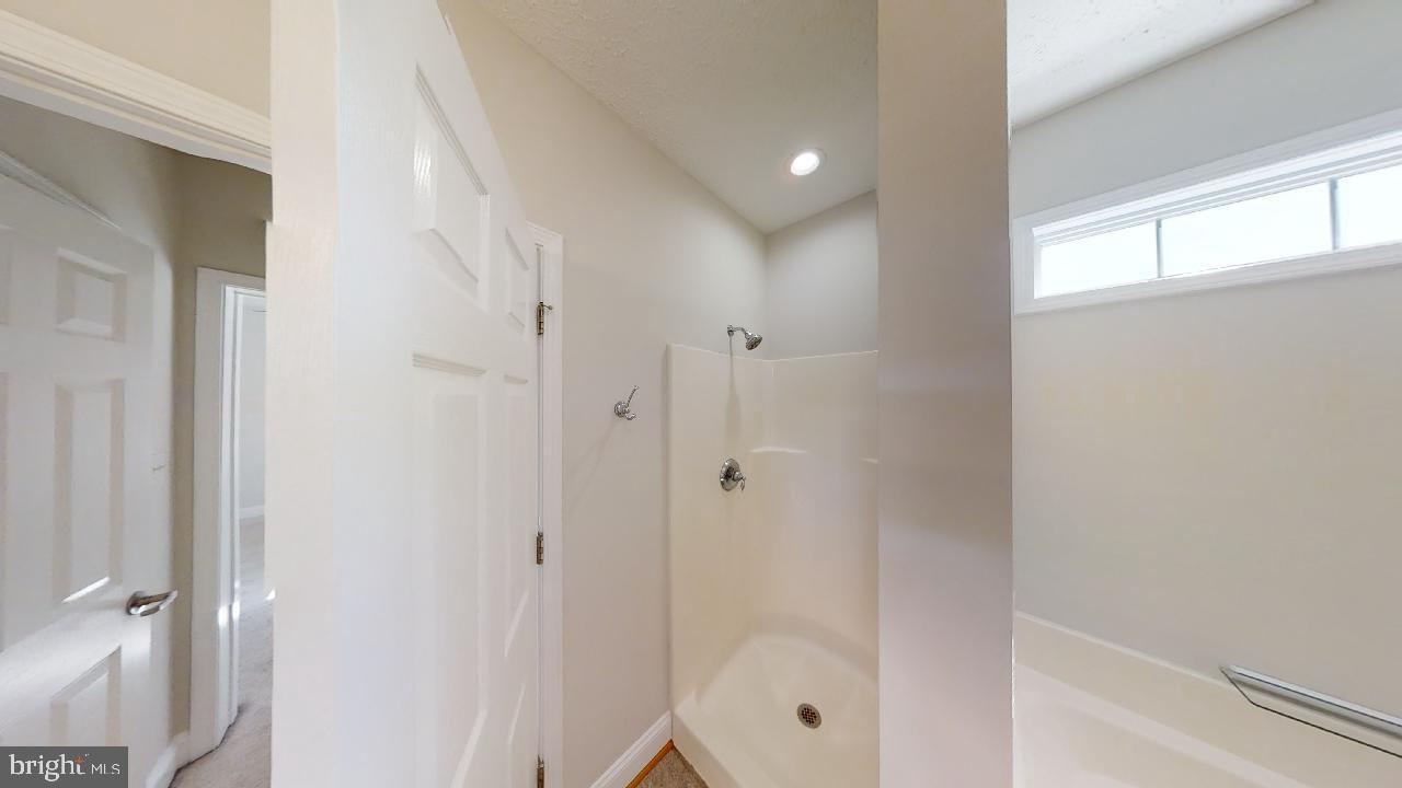 10717 Mt Sharon Road Orange, VA 22960 - Photo 17 of 44 main suite shower