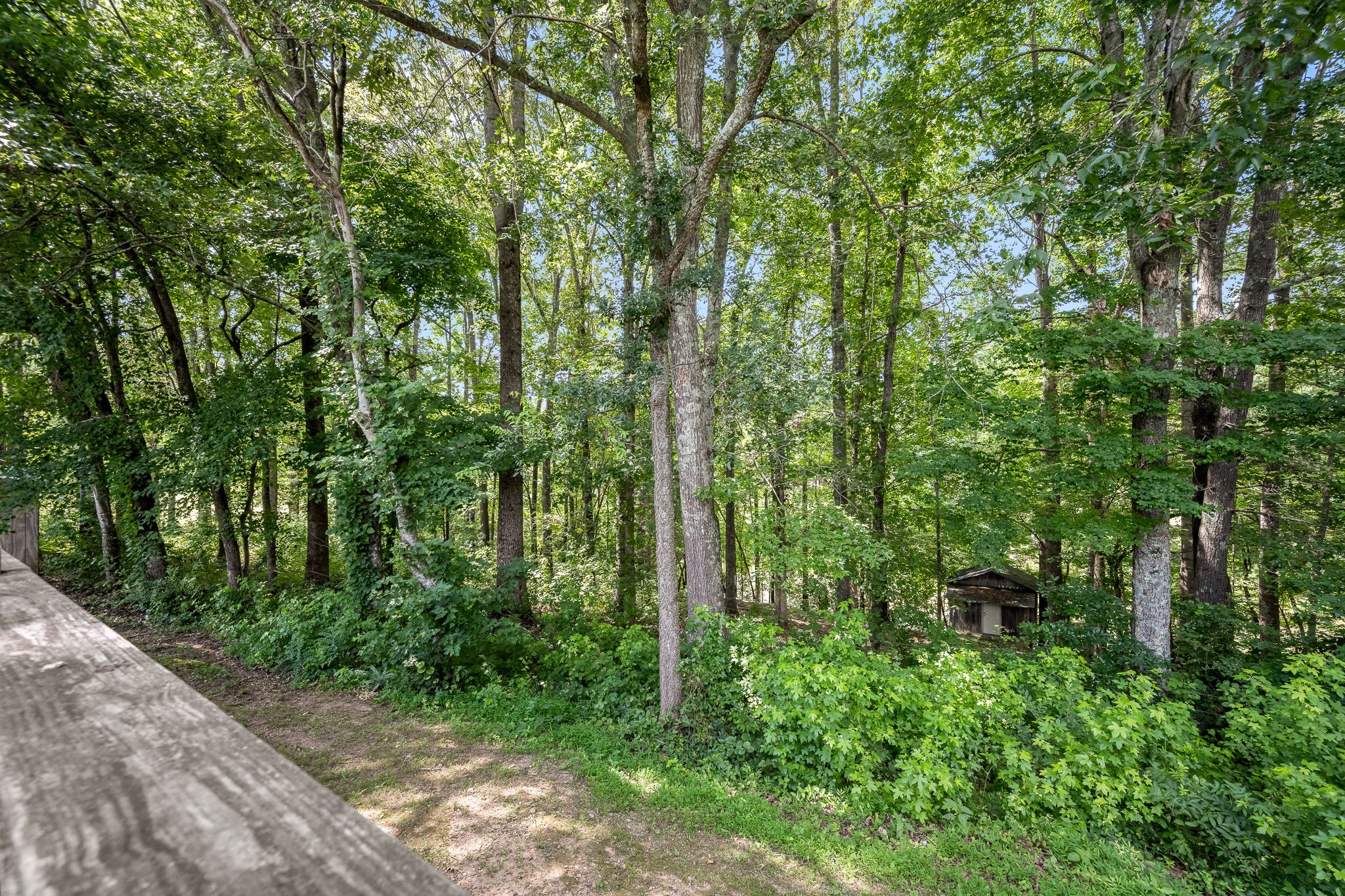 10 Light Lane Kelso, TN 37348 - Photo 36 of 41
