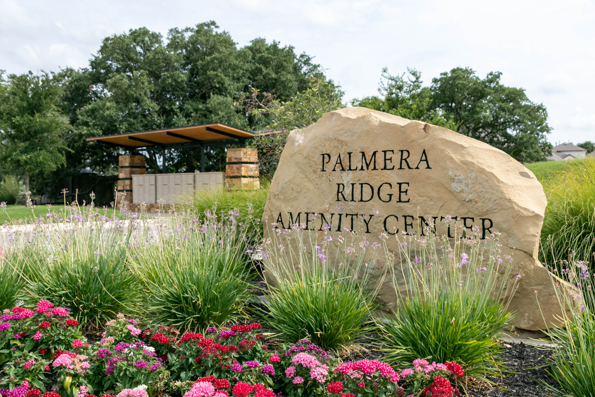 1520 Treasure Map View Leander, TX 78641 - Photo 4 of 9 a view of outdoor space and garden