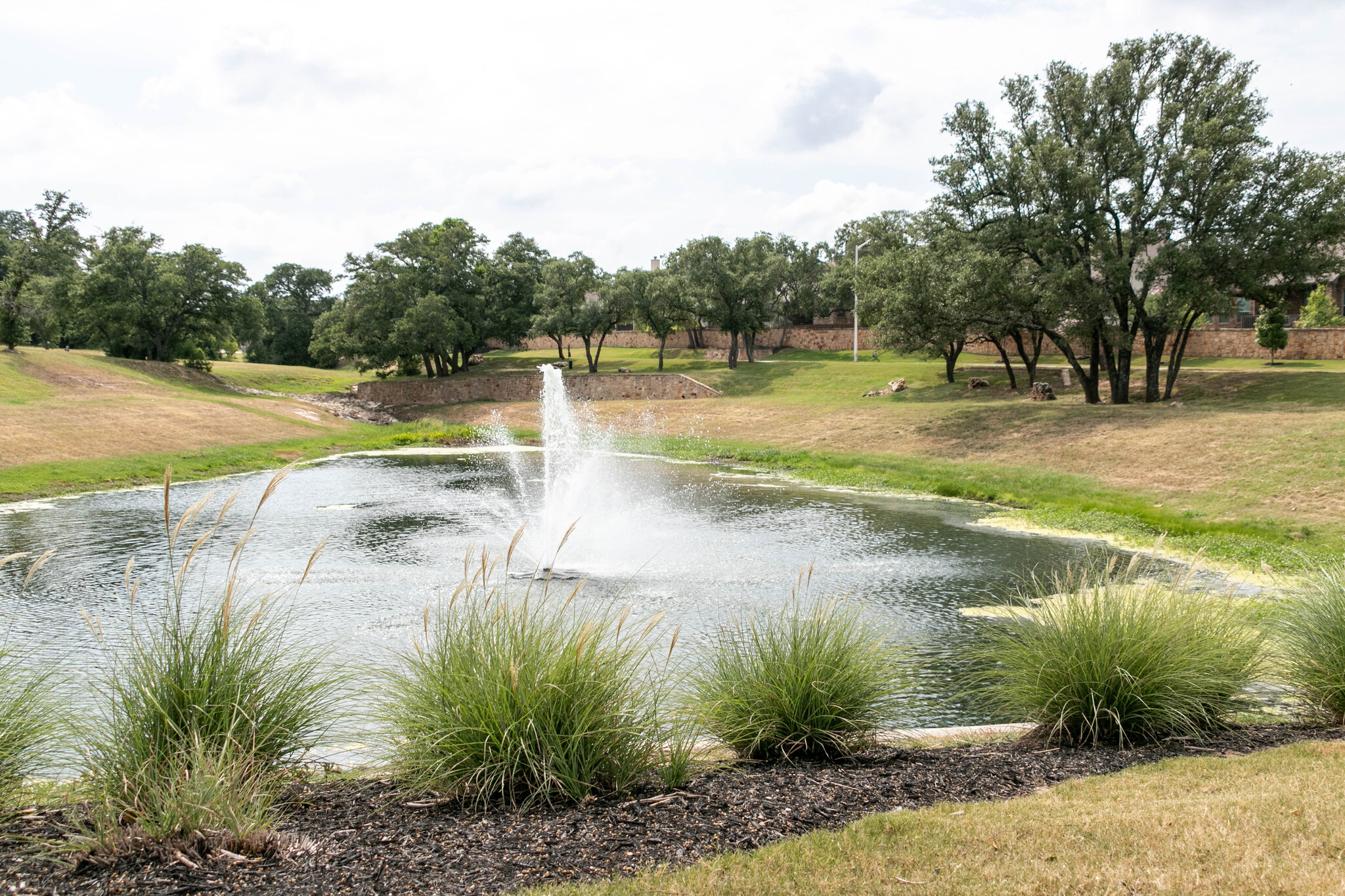 1520 Treasure Map View Leander, TX 78641 - Photo 5 of 9 a view of a swimming pool with a yard