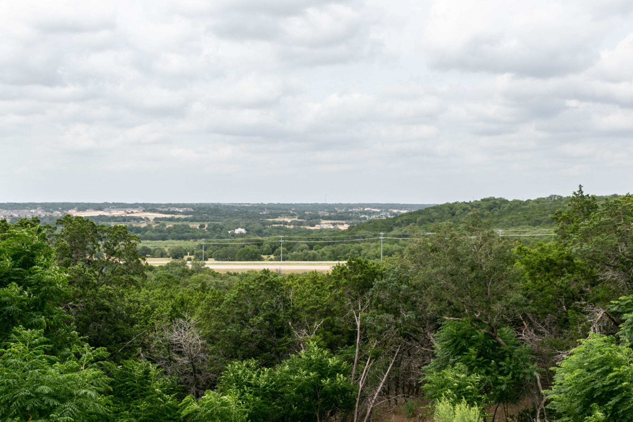 1520 Treasure Map View Leander, TX 78641 - Photo 9 of 9 a view of a green field with lots of bushes