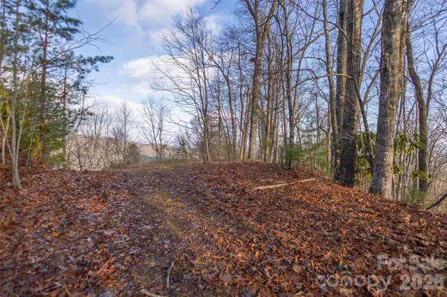 a view of lake with mountain