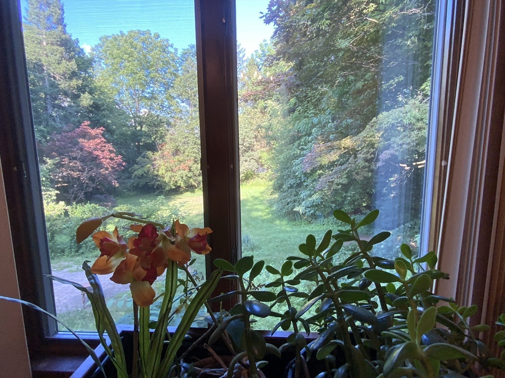 1177 Edgell Road Framingham, MA 01701 - Photo 11 of 32 a view of a flower pot with potted plants