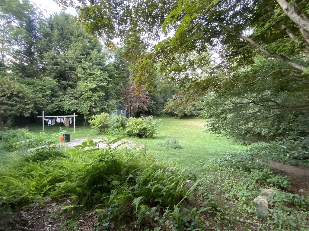 1177 Edgell Road Framingham, MA 01701 - Photo 5 of 32 a backyard of a house with lots of green space
