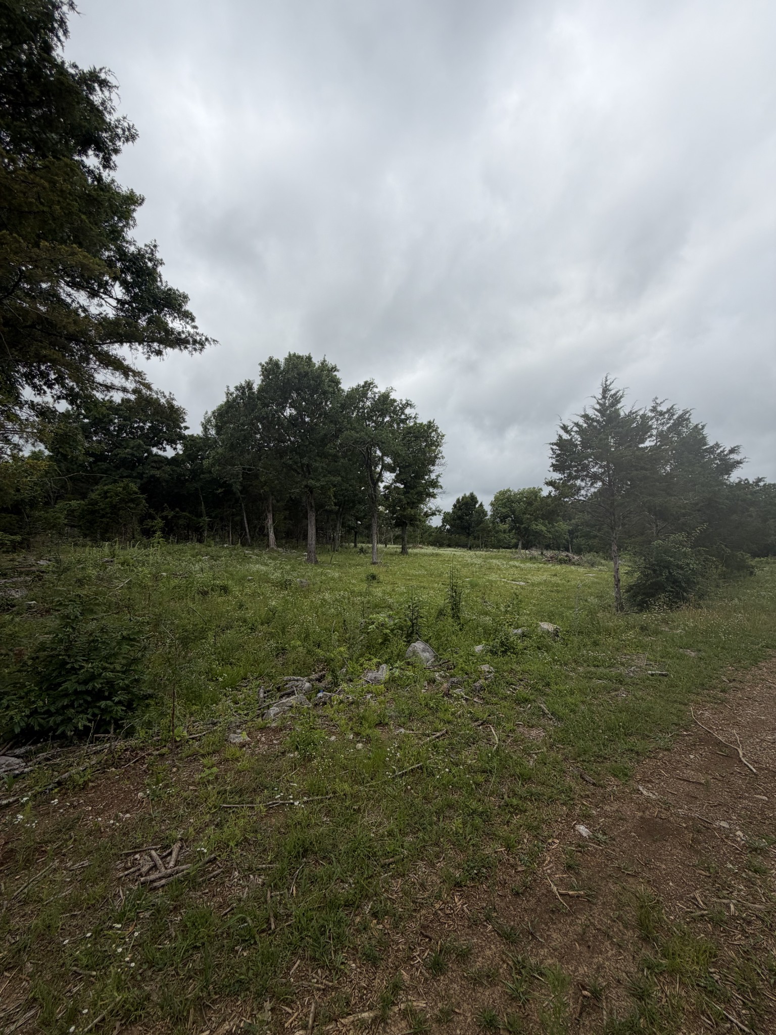 4492 Murray-Kittrell Road Readyville, TN 37149 - Photo 25 of 27