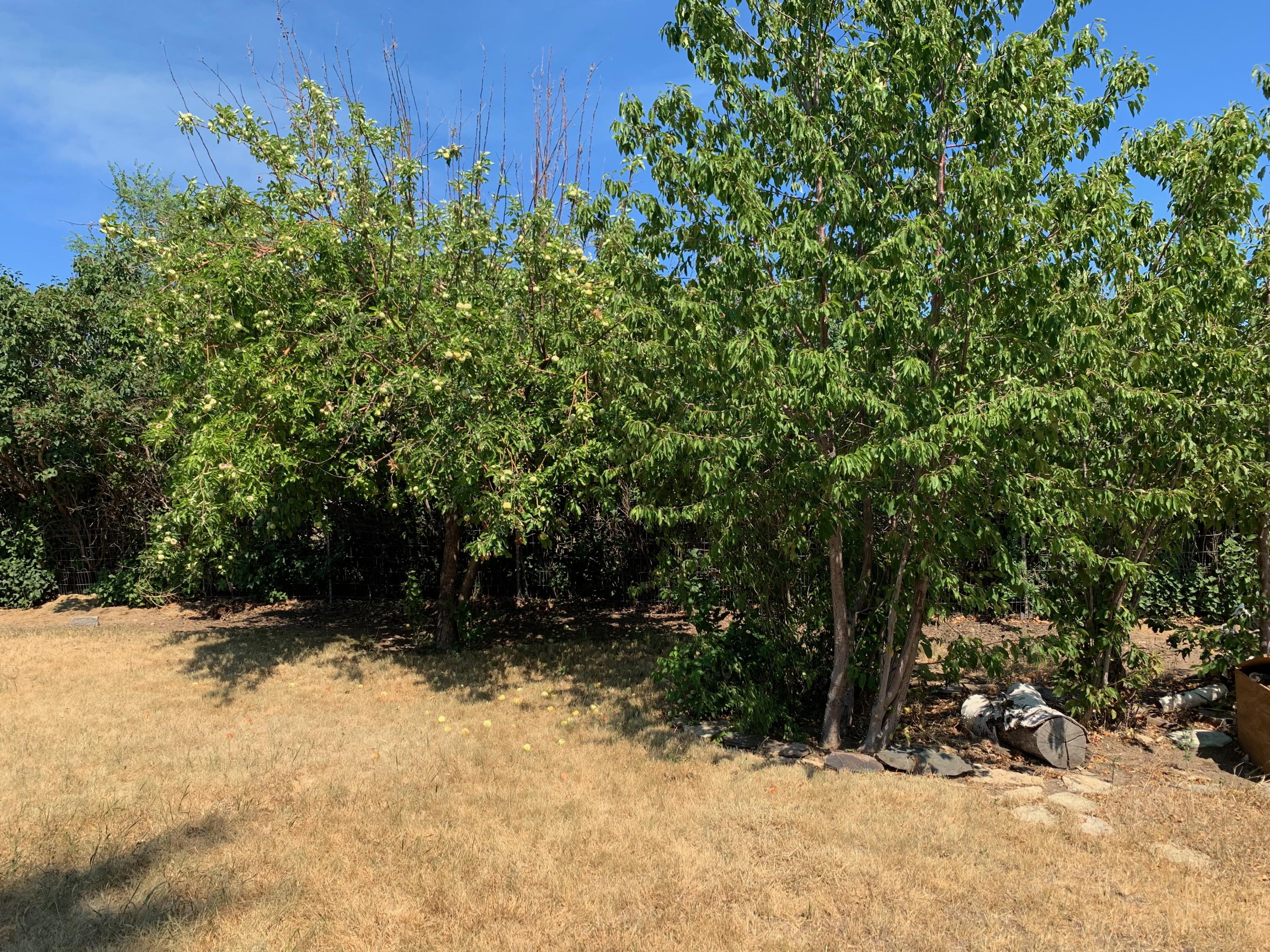 818 East Ridgeview Drive Culver, OR 97734 - Photo 11 of 12 IMG_5258