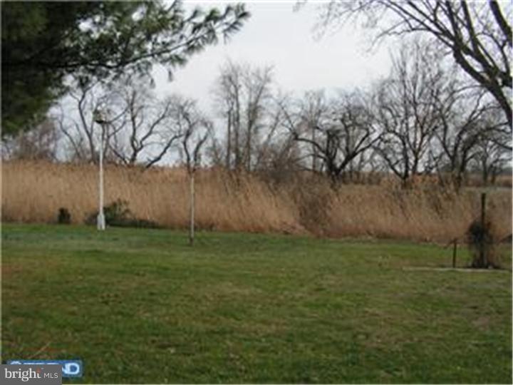 381 Quinton Hancocks Bridge Road Salem, NJ 08079 - Photo 24 of 25 Back Yard