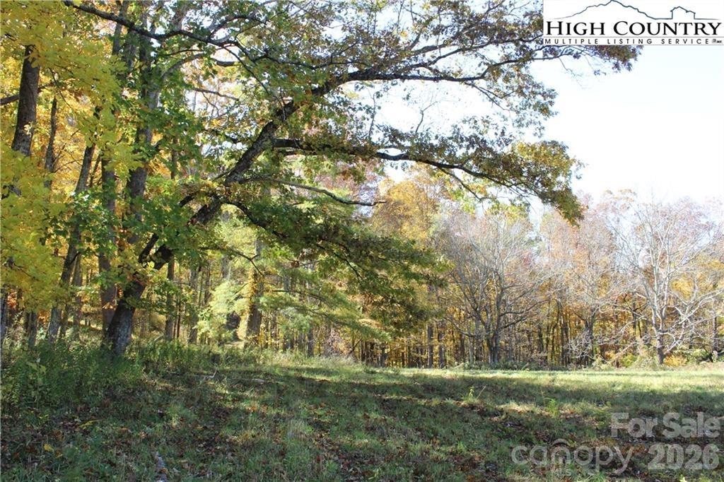 a backyard of a house with a yard and large trees