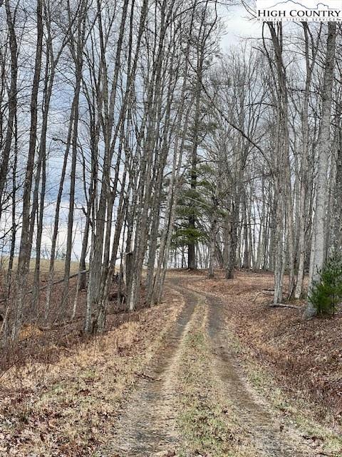 Tbd McNeil Road Lansing, NC 28643 - Photo 2 of 10 a view of a yard with trees