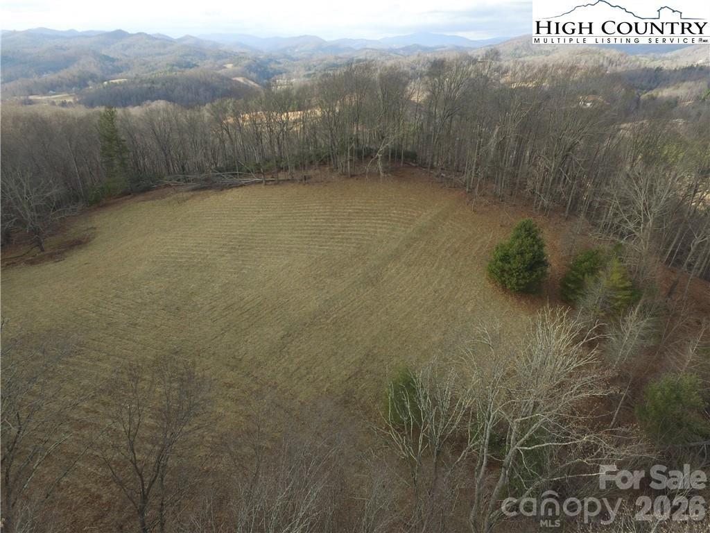 Tbd McNeil Road Lansing, NC 28643 - Photo 4 of 10 a view of a dry yard