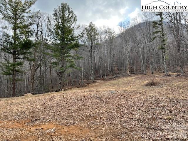 Tbd McNeil Road Lansing, NC 28643 - Photo 5 of 10 a backyard of a house