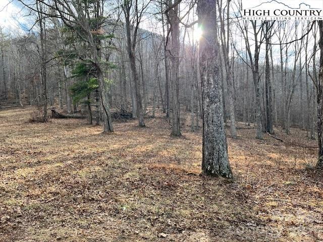 Tbd McNeil Road Lansing, NC 28643 - Photo 6 of 10 a backyard of a house with lots of green space