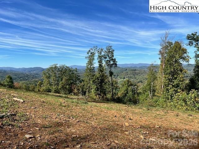 Tbd McNeil Road Lansing, NC 28643 - Photo 8 of 10 a view of a yard with an trees