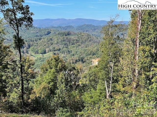 Tbd McNeil Road Lansing, NC 28643 - Photo 9 of 10 a view of a lush green field with lots of bushes