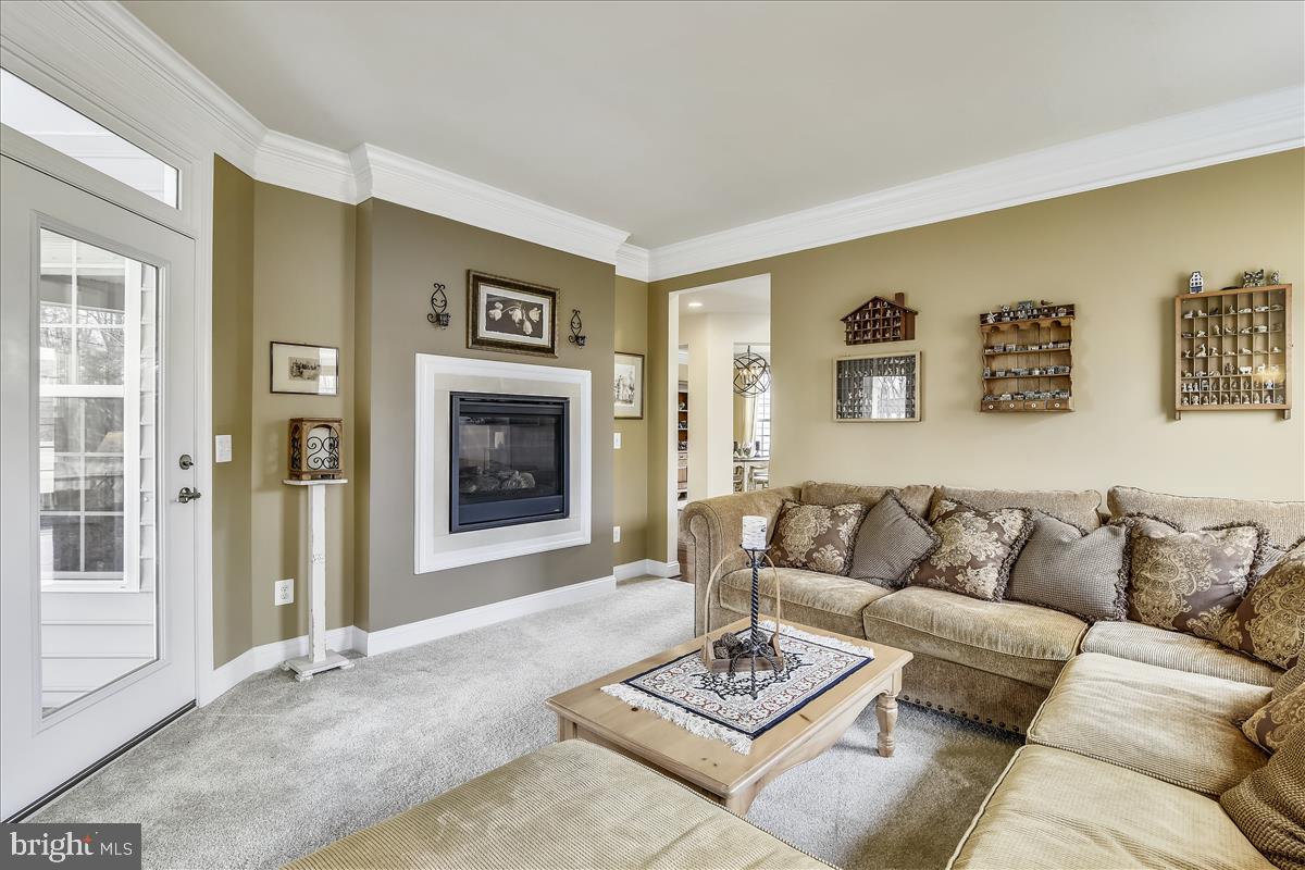 4431 Spring Run Road Warrenton, VA 20187 - Photo 32 of 71 LR fireplace & entrance to Lani
