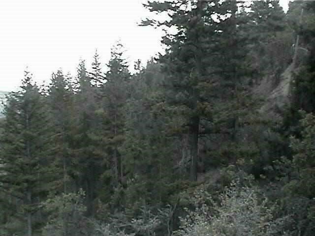 40 Acres Off Scarface R Weed, CA 96034 - Photo 2 of 5 Gallery Image 2