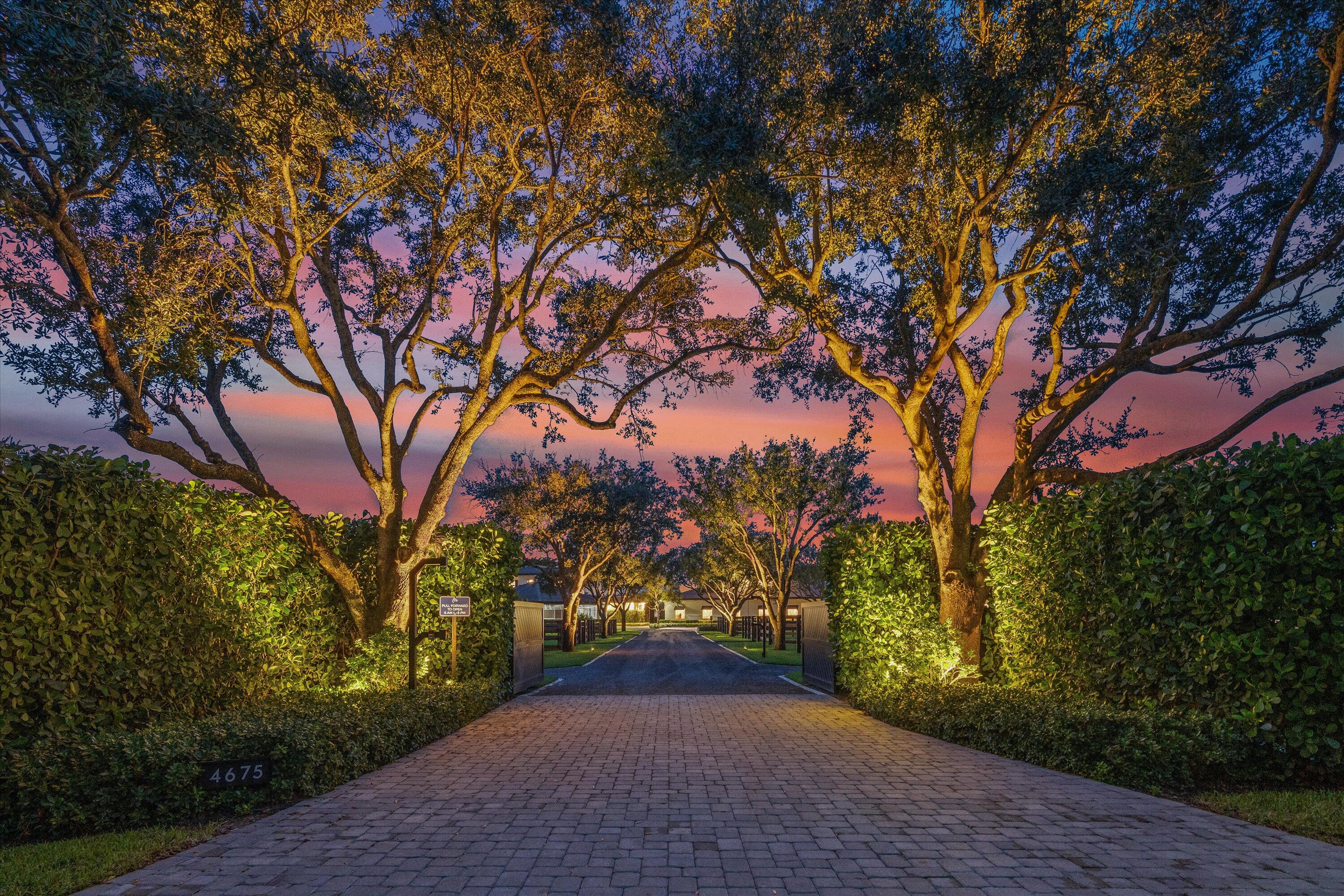 a view of road and trees
