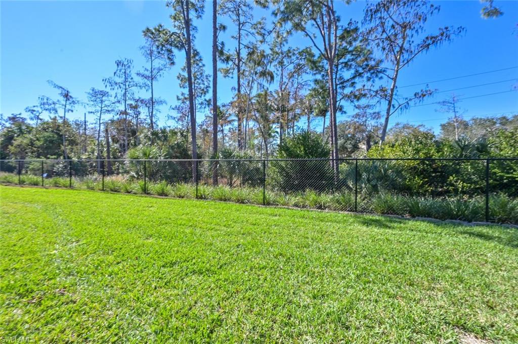 7611 Morgan Way Naples, FL 34119 - Photo 20 of 26 a view of a park with a tree