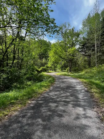 a view of a field with trees
