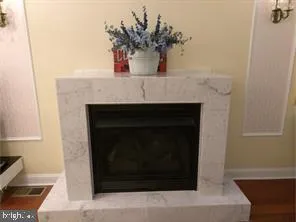 a close view of a fireplace with a potted plant