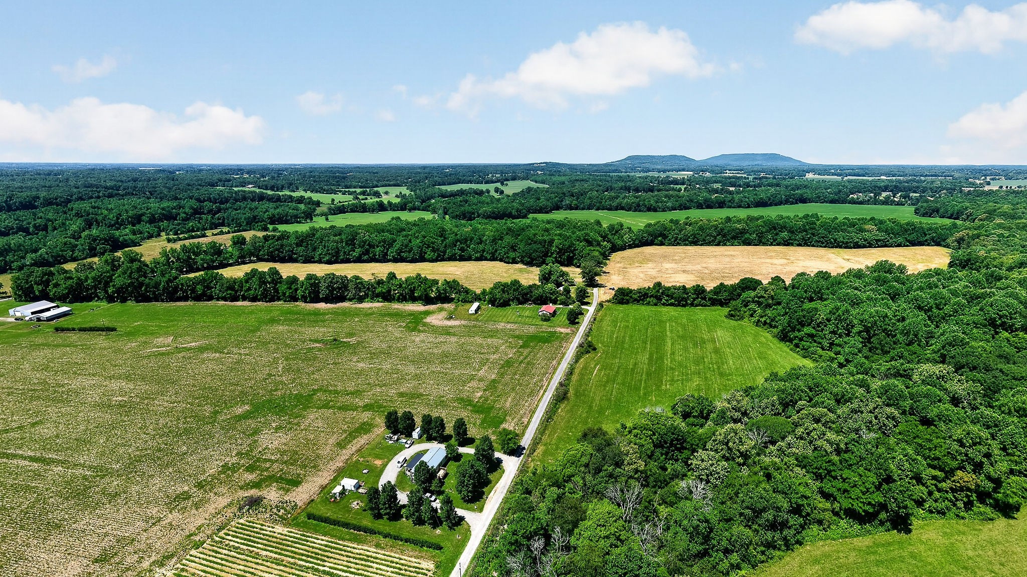 389 Lowery Road Smithville, TN 37166 - Photo 2 of 26